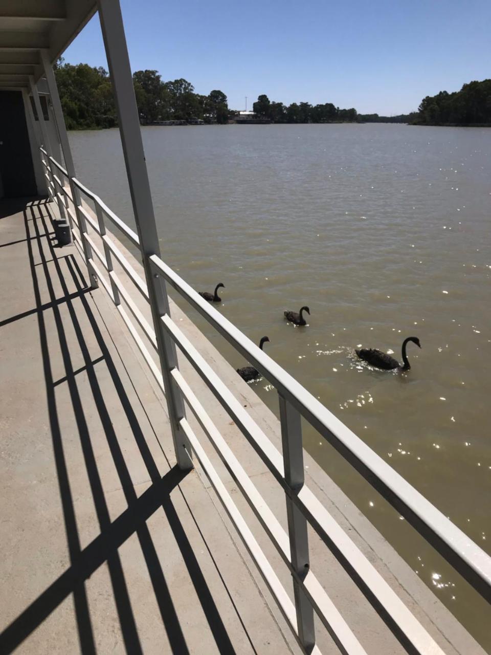 Murray River Queen Hotell Renmark Exteriör bild